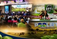Rural Show impulsiona cadeia do leite e agroindústrias em Rondônia Composição editorial sobre a cadeia do leite em Rondônia durante a Rondônia Rural Show em Ji-Paraná
