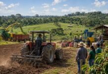 Mecanização agrícola em Rondônia avança com apoio da Alero ao campo Mecanização agrícola em Rondônia com máquinas no campo apoiando produtores rurais