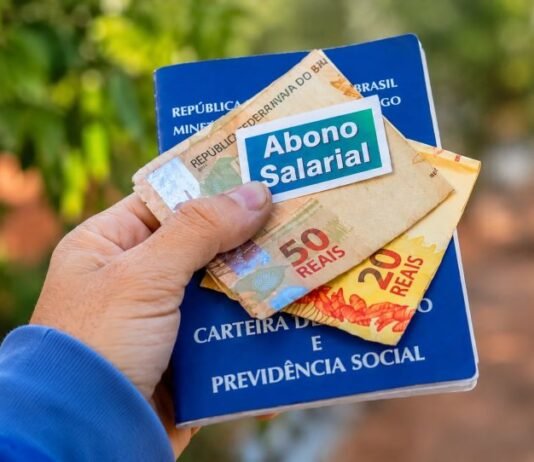 Novo lote do abono salarial 2026 já pode ser consultado por trabalhadores Abono salarial 2026 libera pagamento para trabalhadores nascidos em maio e junho