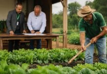 Parceria amplia acesso de produtores ao crédito rural em Rondônia Crédito rural em Rondônia facilita acesso de agricultores familiares a financiamento no campo