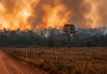 Rondônia entra em atenção com risco de fumaça e fogo na Amazônia Queimadas na Amazônia acendem alerta em Rondônia com fumaça sobre área rural