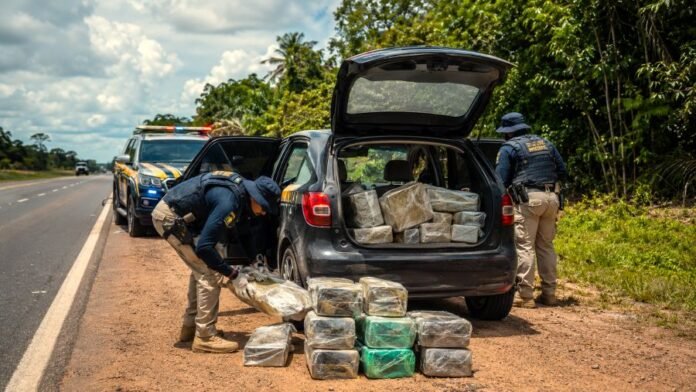 PRF apreende skunk na BR-364 durante fiscalização em carro abordado na Região Norte