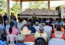 Rondônia entrega insumos a 2,2 mil produtores e fortalece agricultura familiar Agricultura familiar em Rondônia recebe condicionadores de solo para impulsionar a produção rural