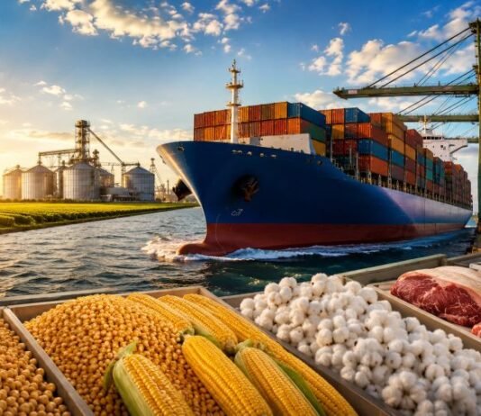 Agro brasileiro ganha força no exterior e movimenta US$ 16 bilhões Navio cargueiro em porto agrícola com soja, milho, algodão e carnes representando as exportações do agro brasileiro