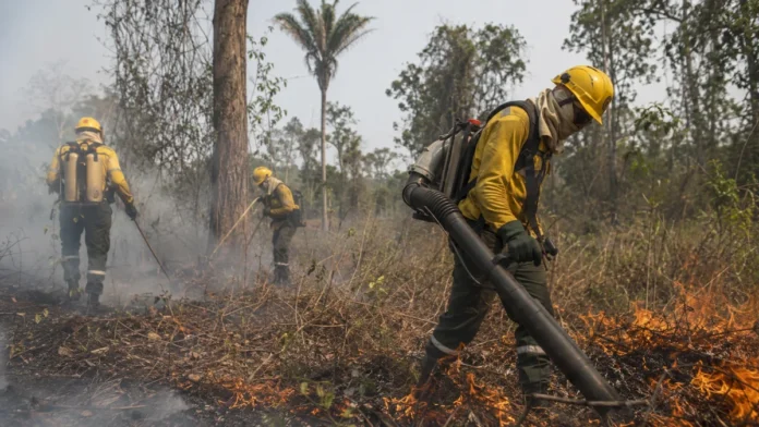 Brigadistas temporários em Rondônia combatem incêndio florestal Brigadistas temporarios em rondônia