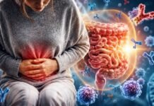 Descoberta pode abrir caminho para novos tratamentos intestinais inflamação intestinal