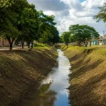 Porto Velho avança na limpeza de igarapés e chega a 16 km atendidos IGARAPÉS LIMPOS