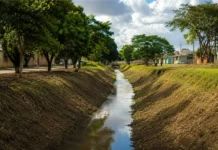 Porto Velho avança na limpeza de igarapés e chega a 16 km atendidos IGARAPÉS LIMPOS
