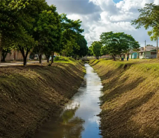 Porto Velho avança na limpeza de igarapés e chega a 16 km atendidos IGARAPÉS LIMPOS