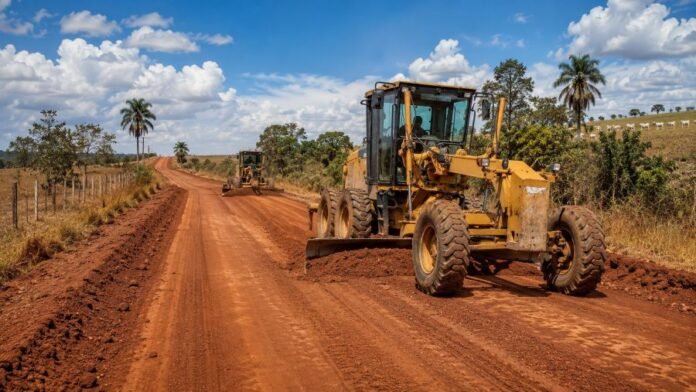 rodovias da zona da mata