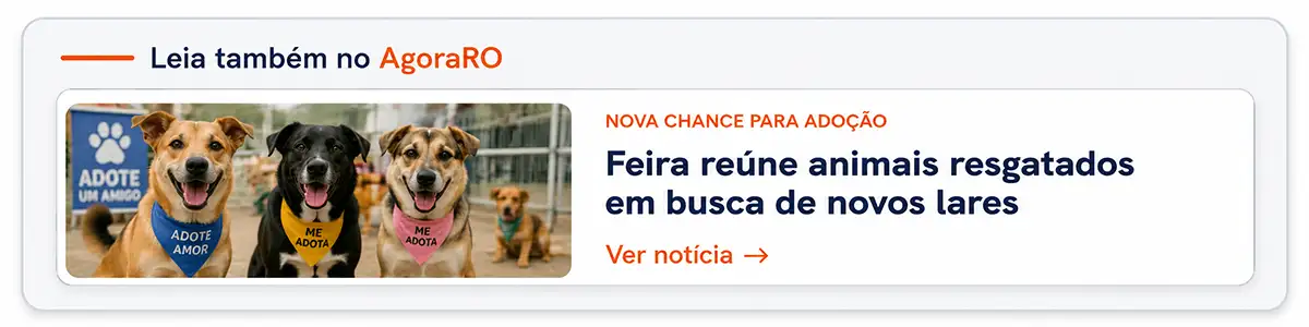 Feira reúne animais resgatados em busca de novos lares