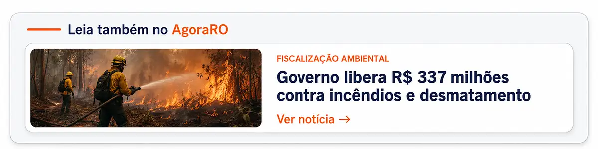 Governo libera R$ 337 milhões contra incêndios e desmatamento