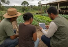 Rondônia receberá nova metodologia de assistência técnica rural Técnico orienta produtores durante atividade da ATeG em Rondônia em uma propriedade familiar