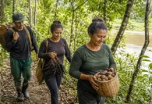 Famílias de Resex em Rondônia podem receber até R$ 8 mil por conservar floresta Família tradicional em floresta amazônica preservada representa o Floresta+ Amazônia em Rondônia