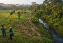 Projetos rurais de Rondônia têm prazo na ANA até 21 de agosto Projetos de conservação de água e solo em área rural da Amazônia