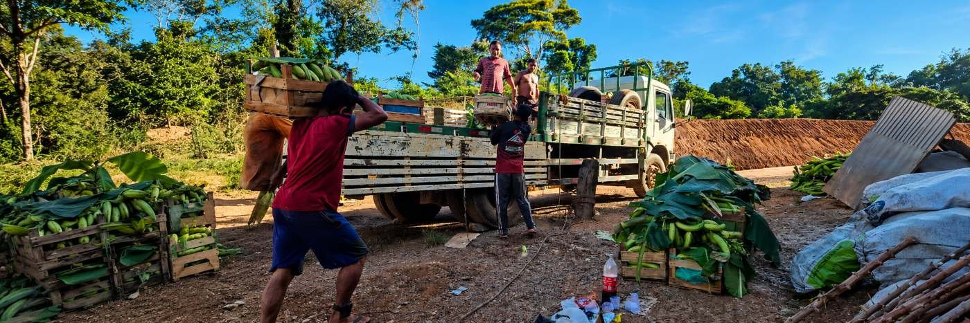 Agricultores carregam alimentos em caminhão de transporte da produção rural em Porto Velho