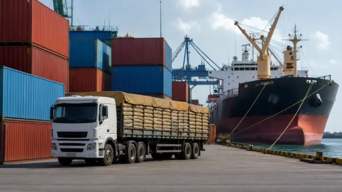Terminal logístico representa as exportações brasileiras acompanhadas pelo agro de Rondônia.