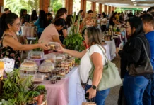 Feira do Servidor Empreendedor valoriza talentos e pequenos negócios da Semed feira do servidor empreendedor