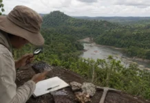 Rondônia aparece entre estados estratégicos para minerais críticos na Amazônia Arte horizontal sobre minerais críticos em Rondônia destaca a participação do estado nos processos minerários da Amazônia Legal.