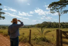Rondônia deve ter semana de tempo firme e sem chuva, aponta INMET previsão do tempo em Rondônia