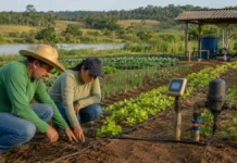 Água na irrigação responde por metade da retirada no Brasil Água na irrigação é monitorada por produtor e técnica em propriedade rural de Rondônia