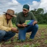 ZARC da soja orienta plantio em Rondônia na safra 2026/2027 ZARC da soja orienta produtores de Rondônia na safra 2026/2027