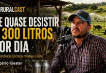 Produtor sai de quase desistir do leite para superar 300 litros por dia Rogério Kiester participa do RuralCast sobre pecuária leiteira em Rondônia, assistência técnica, manejo de pastagem e produção de leite