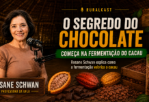 Rosane Schwan explica por que fermentação define chocolate de qualidade Rosane Schwan no RuralCast explica como a fermentação do cacau melhora a qualidade do chocolate em Rondônia