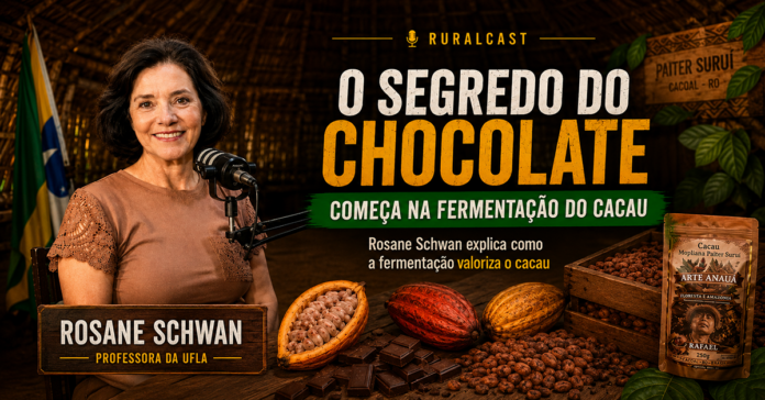 Fermentação do cacau é explicada por Rosane Schwan no RuralCast Rosane Schwan no RuralCast explica como a fermentação do cacau melhora a qualidade do chocolate em Rondônia