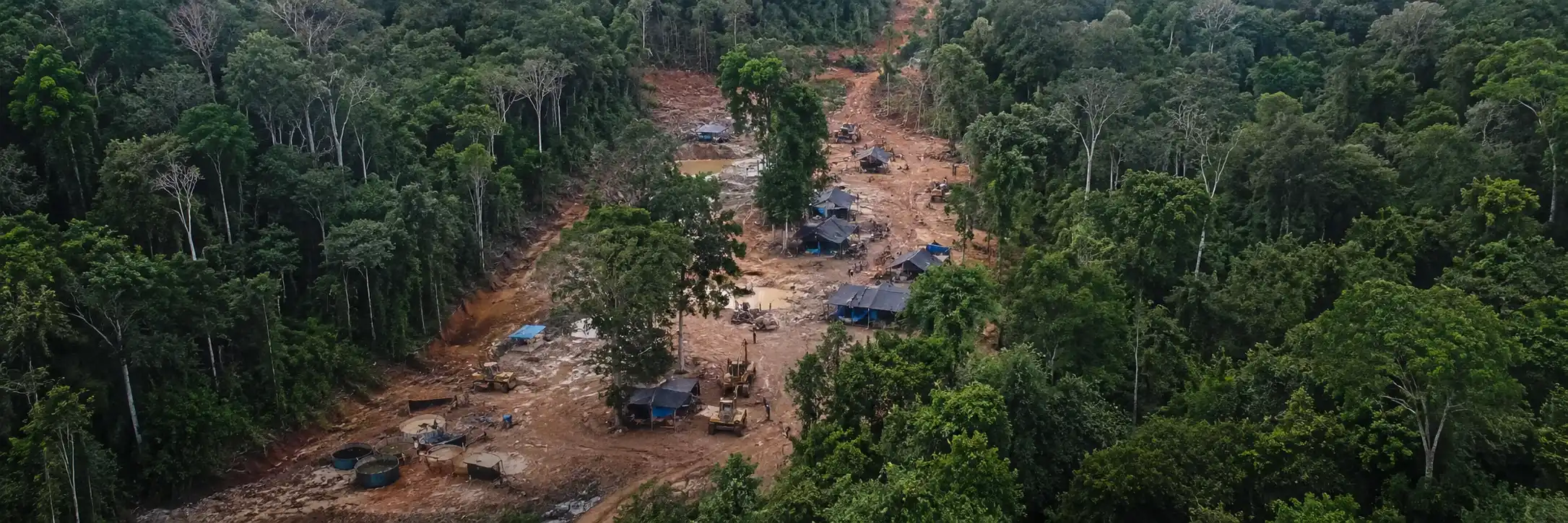 Acampamentos ilegais em área de garimpo no Parque Mapinguari.