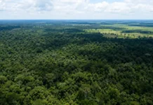 Alertas de desmatamento caem 41,2% em Rondônia, aponta Inpe Vista aérea de floresta e áreas rurais em Rondônia durante monitoramento dos alertas de desmatamento pelo Inpe.