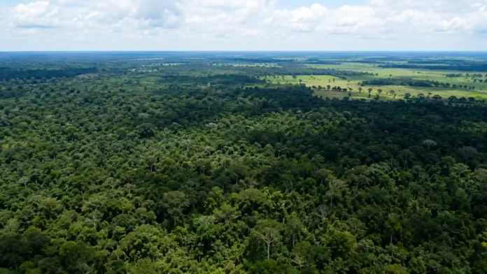 Vista aérea de floresta e áreas rurais em Rondônia durante monitoramento dos alertas de desmatamento pelo Inpe.