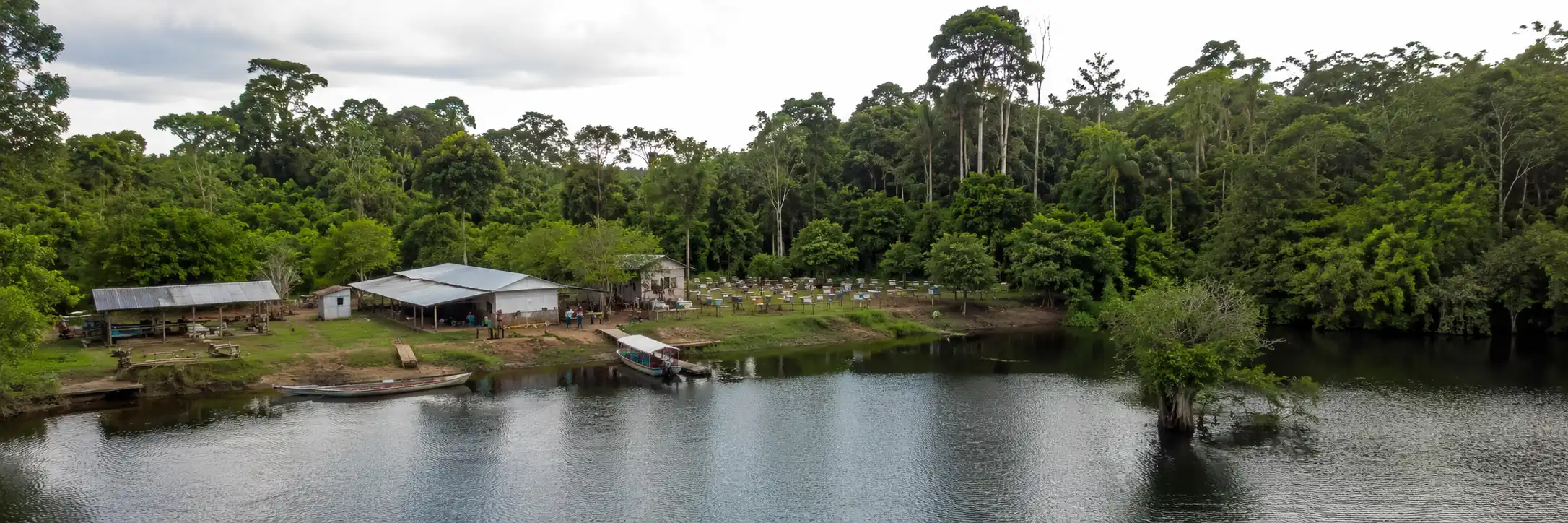 Vista panorâmica da comunidade onde é avaliada a bioeconomia no Lago do Cuniã.