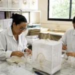 Porto Velho inicia implantação do Método Wolbachia contra a dengue Técnicas trabalham no insetário durante a preparação do Método Wolbachia em Porto Velho.