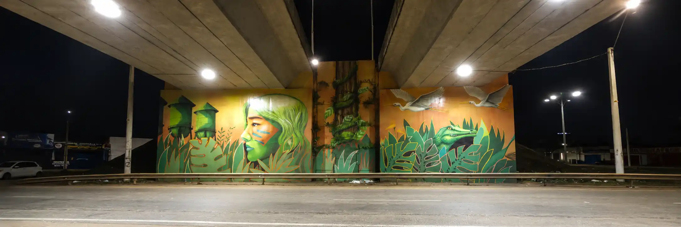 Viadutos iluminados em Porto Velho com mural urbano sob a estrutura durante a noite.