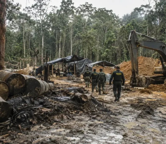 Operação inutiliza 23 acampamentos de garimpo no Parque Mapinguari Agentes de fiscalização em área de garimpo no Parque Mapinguari durante operação ambiental na floresta amazônica.
