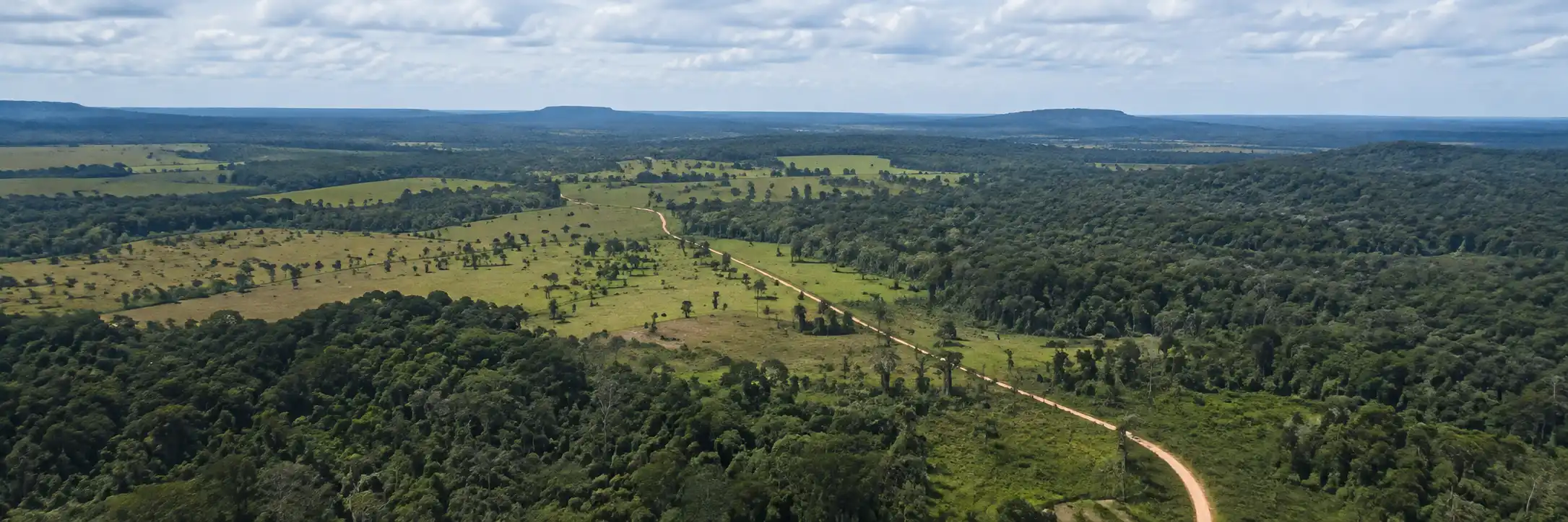 Paisagem panorâmica de floresta e área rural associada ao monitoramento dos alertas de desmatamento em Rondônia.