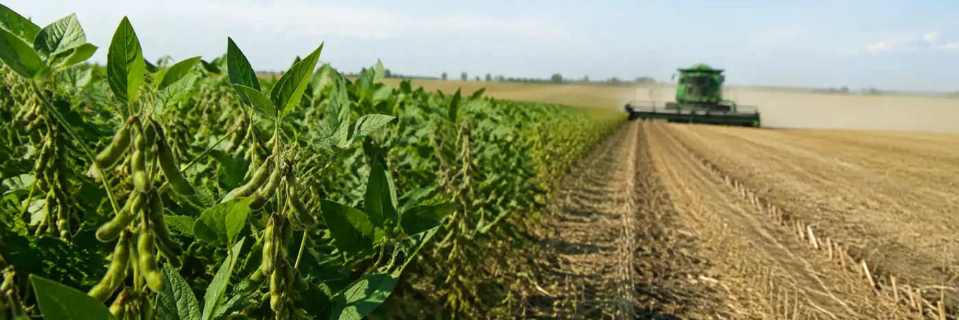 Produção de soja contextualiza dados do agro de Porto Velho referentes a 2023