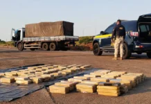 PRF apreende mais de 300 kg de skunk e haxixe em duas ações em Vilhena Apreensão de drogas em Vilhena com carga apreendida, caminhão e viatura da PRF