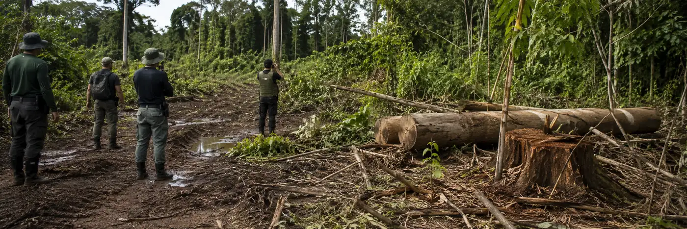 Fiscalização ambiental relacionada à extração ilegal de madeira em Rondônia