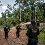 PF cumpre mandados em Cujubim e Espigão d’Oeste contra extração ilegal de madeira Extração ilegal de madeira em Rondônia é investigada pela Polícia Federal