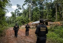 PF cumpre mandados em Cujubim e Espigão d’Oeste contra extração ilegal de madeira Extração ilegal de madeira em Rondônia é investigada pela Polícia Federal