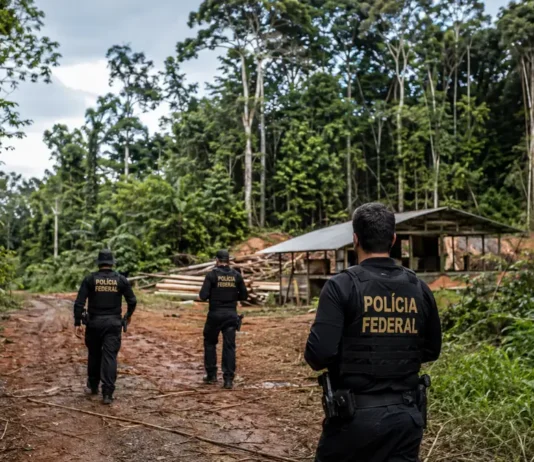 PF cumpre mandados em Cujubim e Espigão d’Oeste contra extração ilegal de madeira Extração ilegal de madeira em Rondônia é investigada pela Polícia Federal