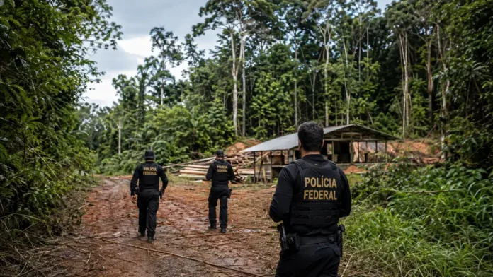 Extração ilegal de madeira em Rondônia é investigada pela Polícia Federal