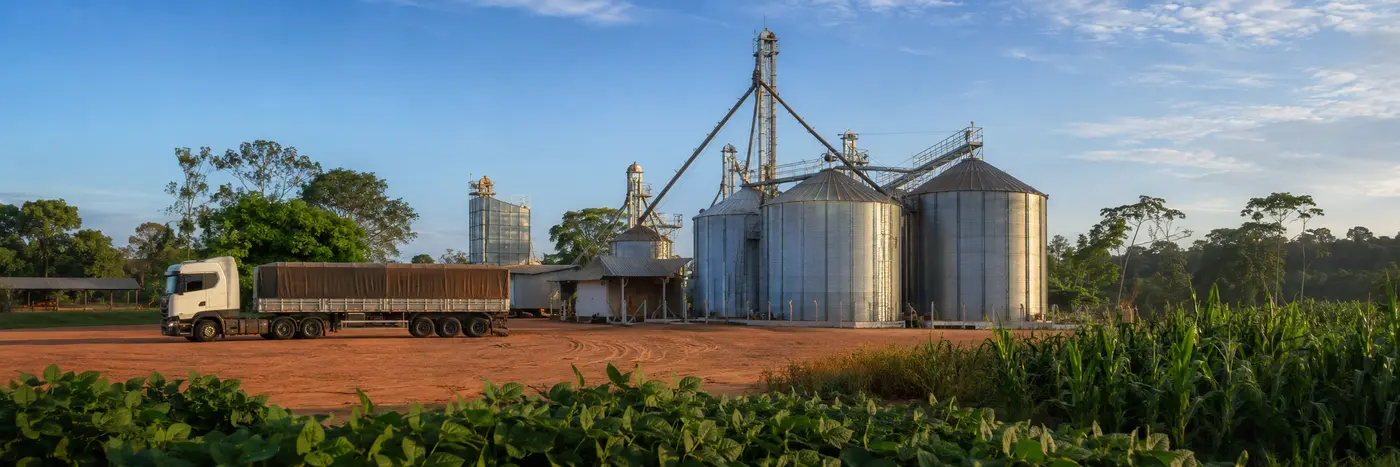 Estrutura de armazenagem e transporte da safra de grãos em Rondônia