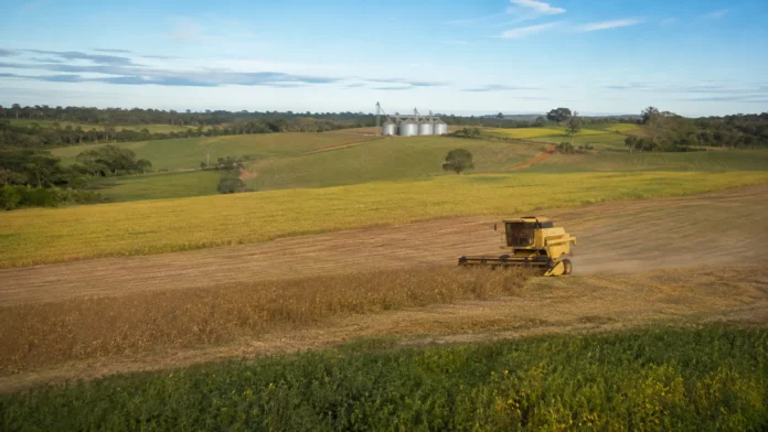 Paisagem agrícola com colheitadeira durante a produção de grãos em Rondônia