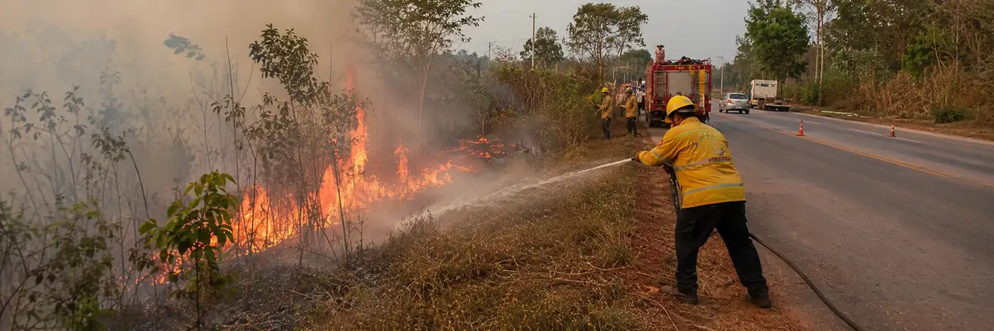 Combate a incêndio na BR-319 mobiliza equipes em área de vegetação