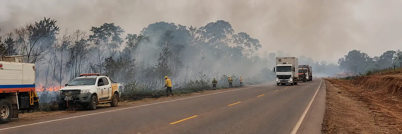 Fumaça e vegetação atingida por incêndio às margens de rodovia