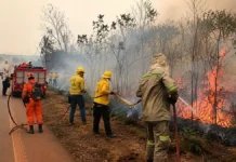 Incêndio na BR-319 mobiliza Bombeiros por três horas e meia Incêndio na BR-319 mobiliza Bombeiros e brigadistas em Porto Velho