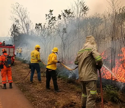 Incêndio na BR-319 mobiliza Bombeiros por três horas e meia Incêndio na BR-319 mobiliza Bombeiros e brigadistas em Porto Velho
